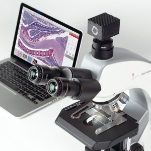 Mikroskop trinokularni Panthera C2 (4x, 10x, 40x) - Image 6